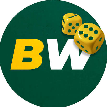 The Ultimate Guide to BetWinner Casino A Complete Overview